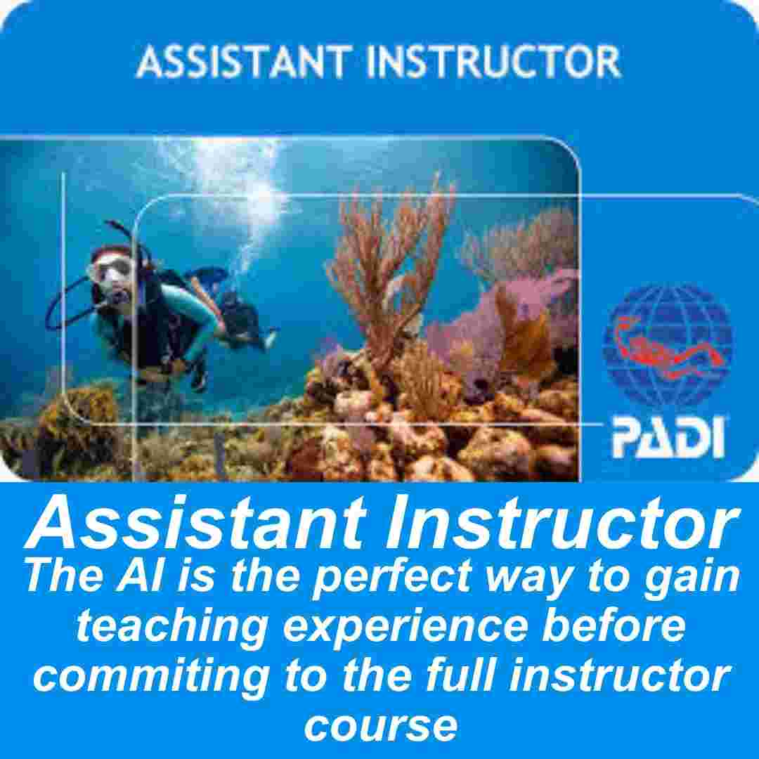 PADI Assistant Instructor Course