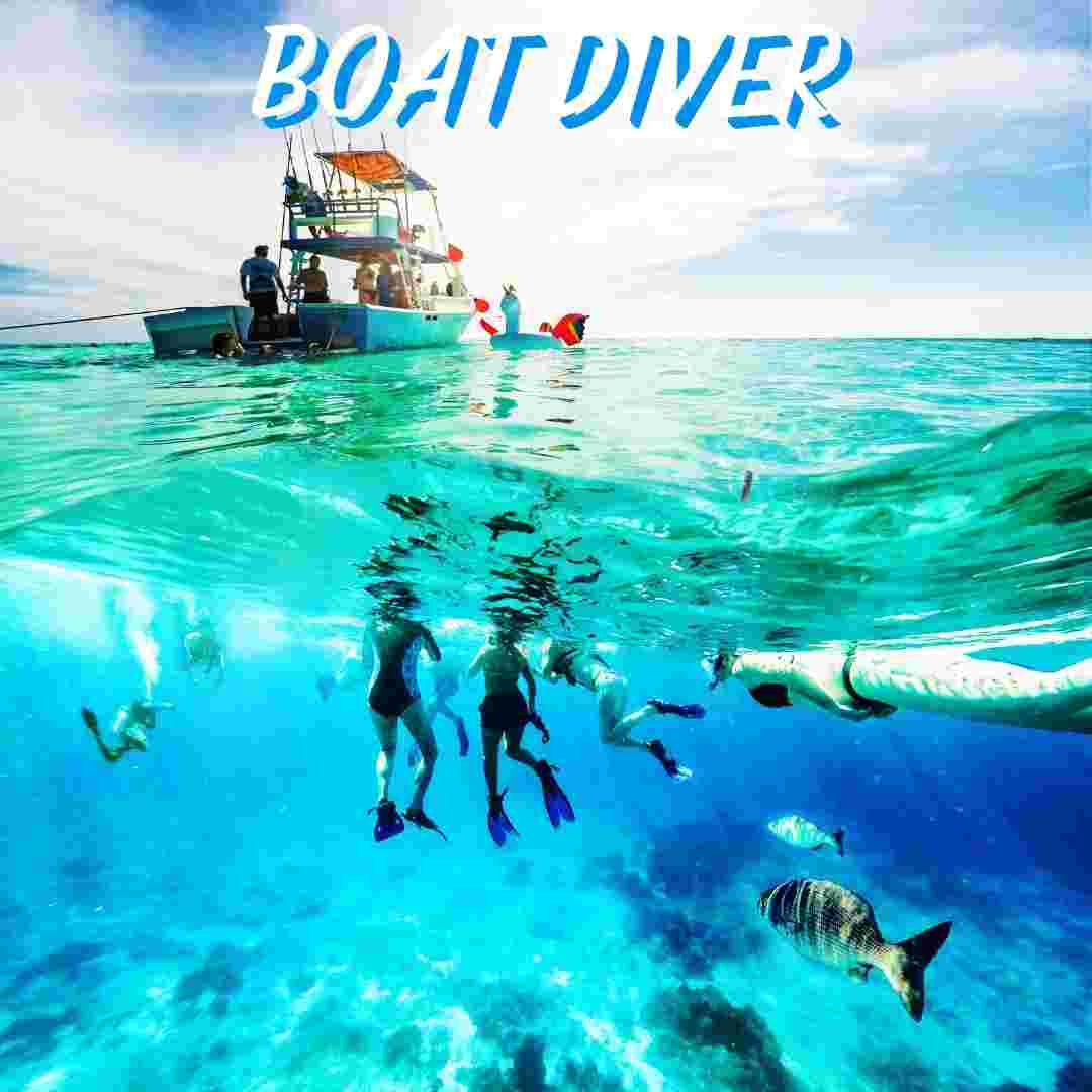 PADI Boar Diver Speciality Course