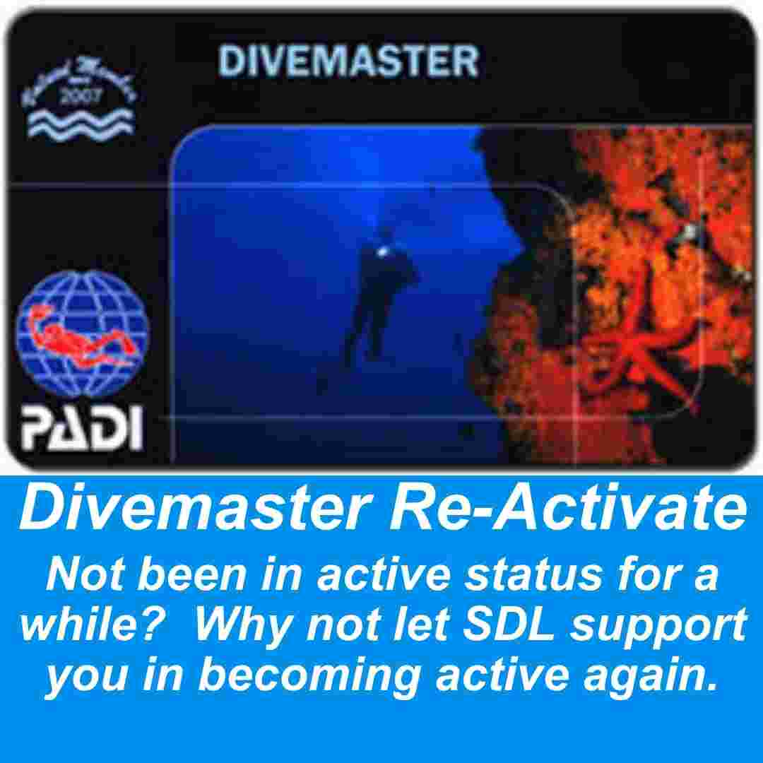 PADI Divemaster Re-Activate