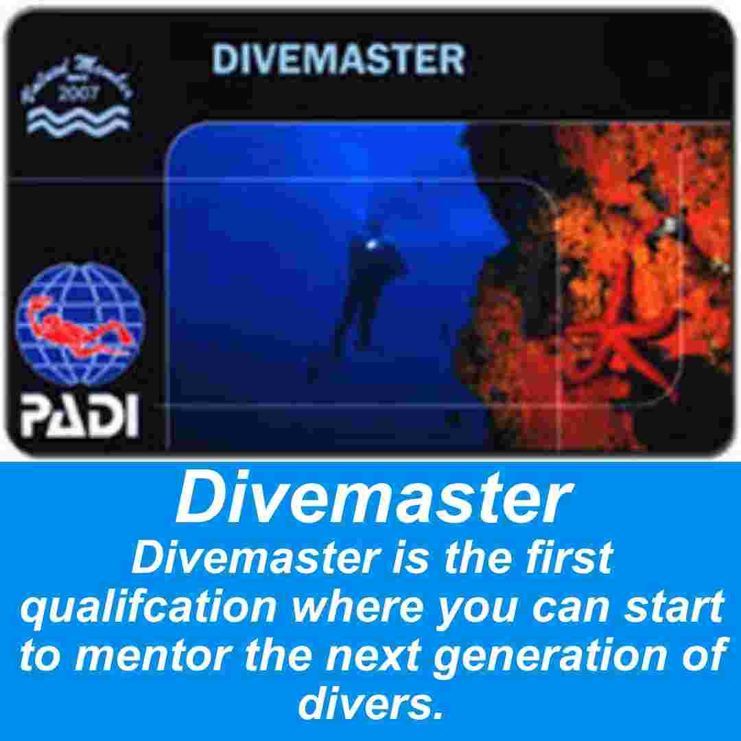PADI Divemaster Course