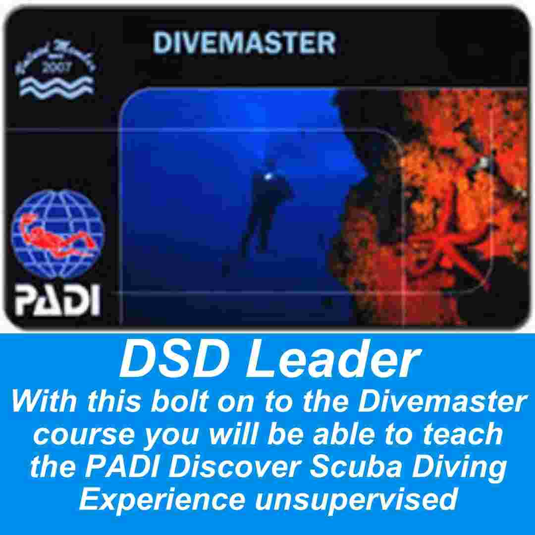 PADI Discover Scuba Diving Leader
