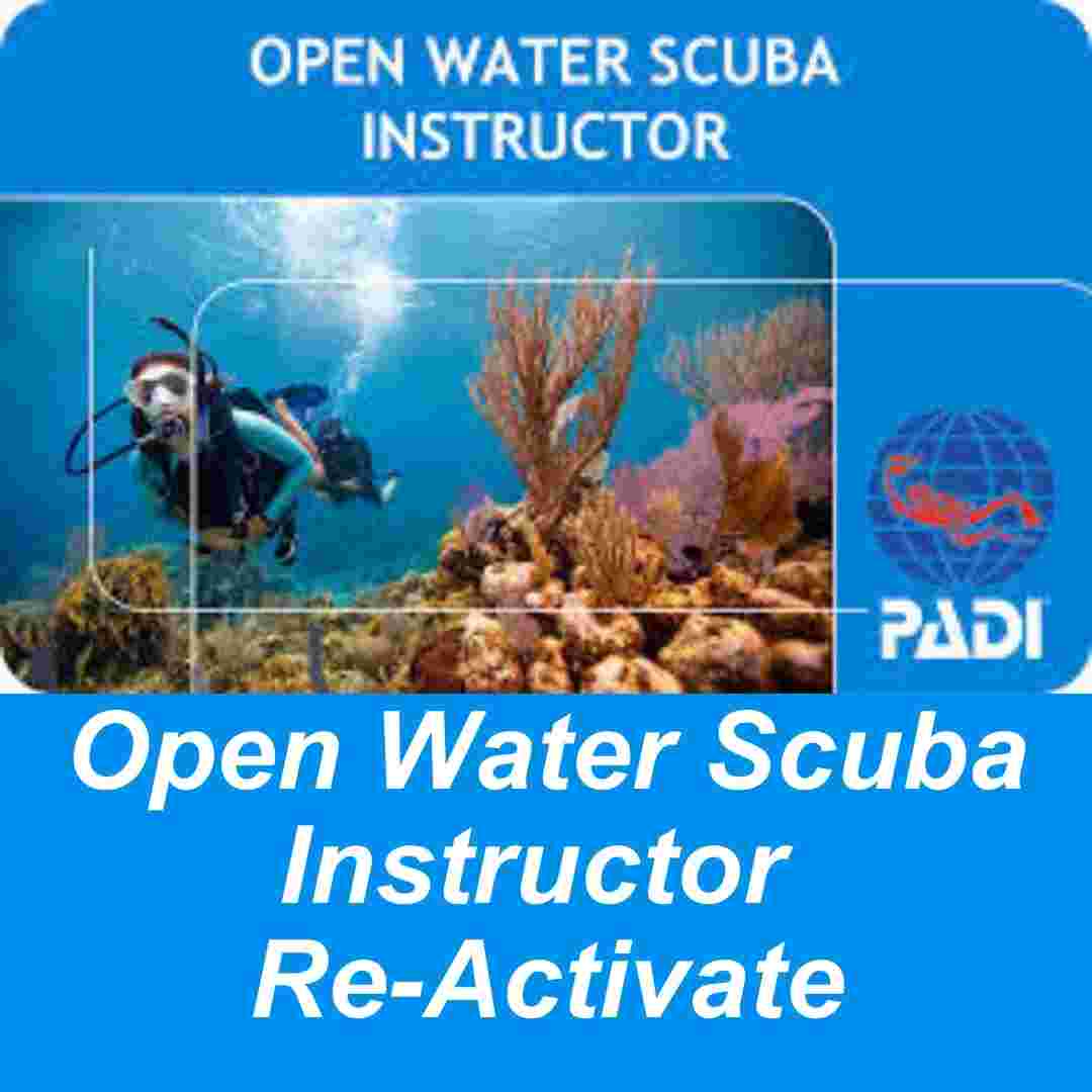 Re-Activate you instructor qualifcation
