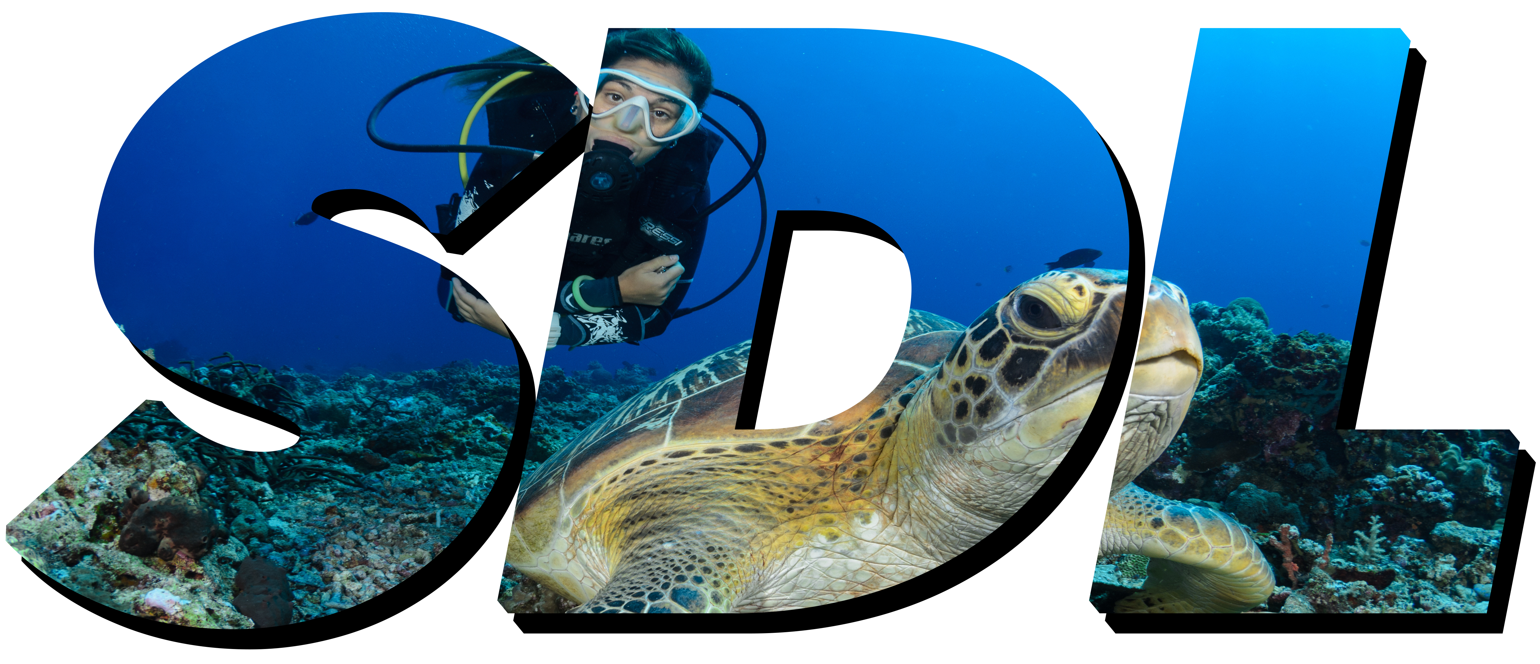 Sussex Diving & Leisure